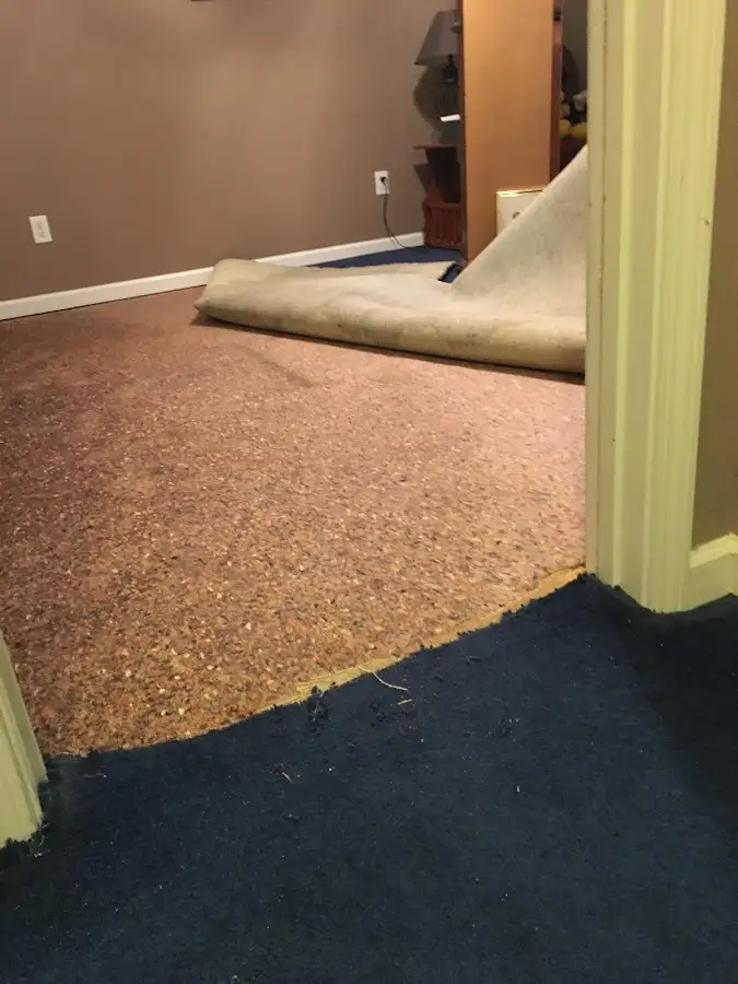 Carpet pad removal revealing water damage during Water Mitigation Services in Cresskill