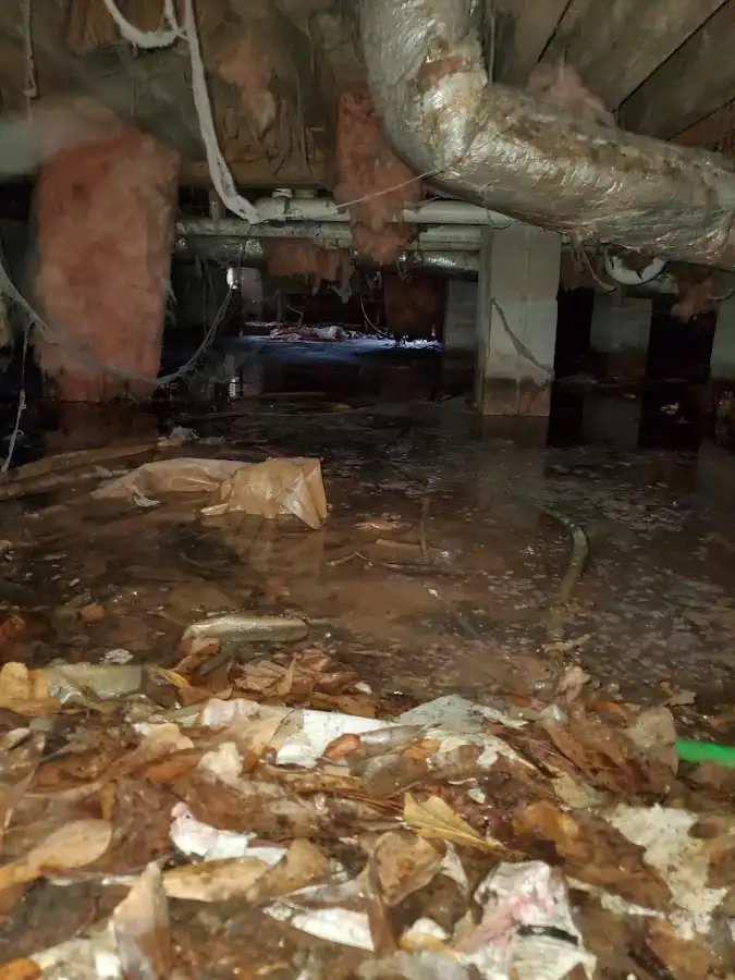 Crawl space flood assessment for Leak Detection & Repair in Cresskill