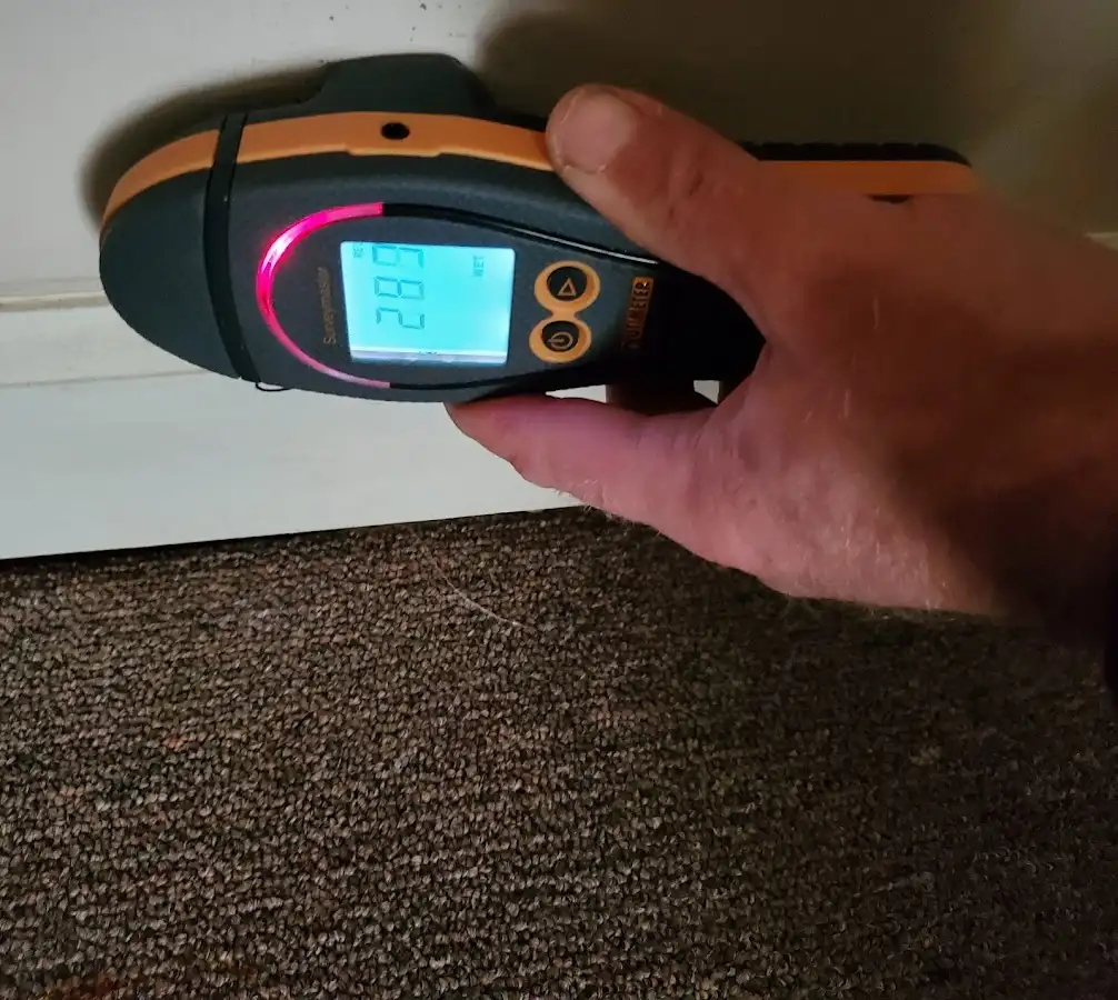 Moisture detection at baseboard during Sewage Cleanup & Sanitation in Cresskill